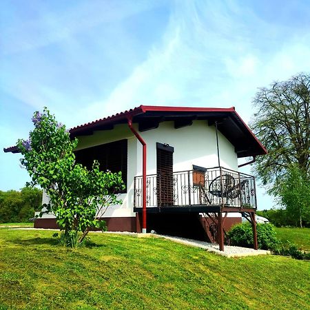Apartma Kapelski Fant Sveti Jurij ob Scavnici Екстер'єр фото